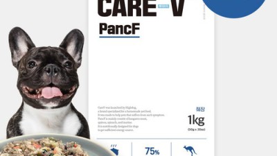 우리 강아지, 저단백 식단 시작해볼까요? 🐶 건강한 선택, 똑똑한 구매 팁!