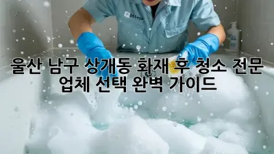 울산 남구 상개동 화재 후 청소: 전문 업체 선택 완벽 가이드