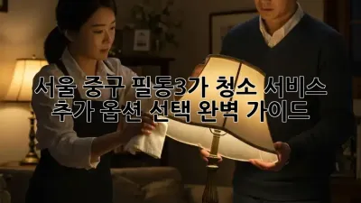서울 중구 필동3가 청소 서비스 추가 옵션 선택 완벽 가이드