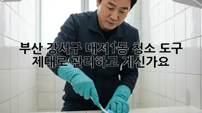부산 강서구 대저1동 청소 도구, 제대로 관리하고 계신가요?