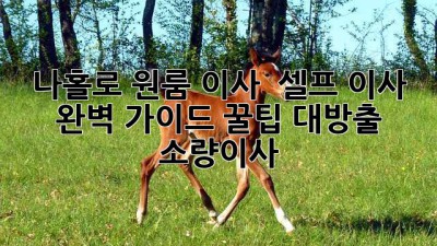 나홀로 원룸 이사 🏠 셀프 이사 완벽 가이드 꿀팁 대방출! #소량이사