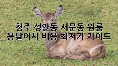 청주 성안동 서문동 원룸 용달이사 비용 최저가 가이드