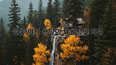원룸 이사, 용달이 효율적인 이유?